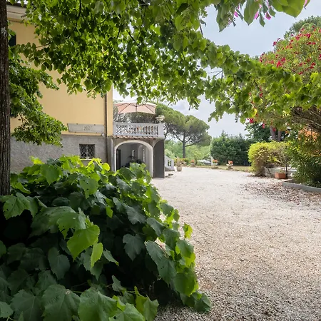 San Giorgio * Sarzana